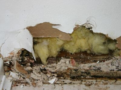 Professional water damage restoration services in Brownsville